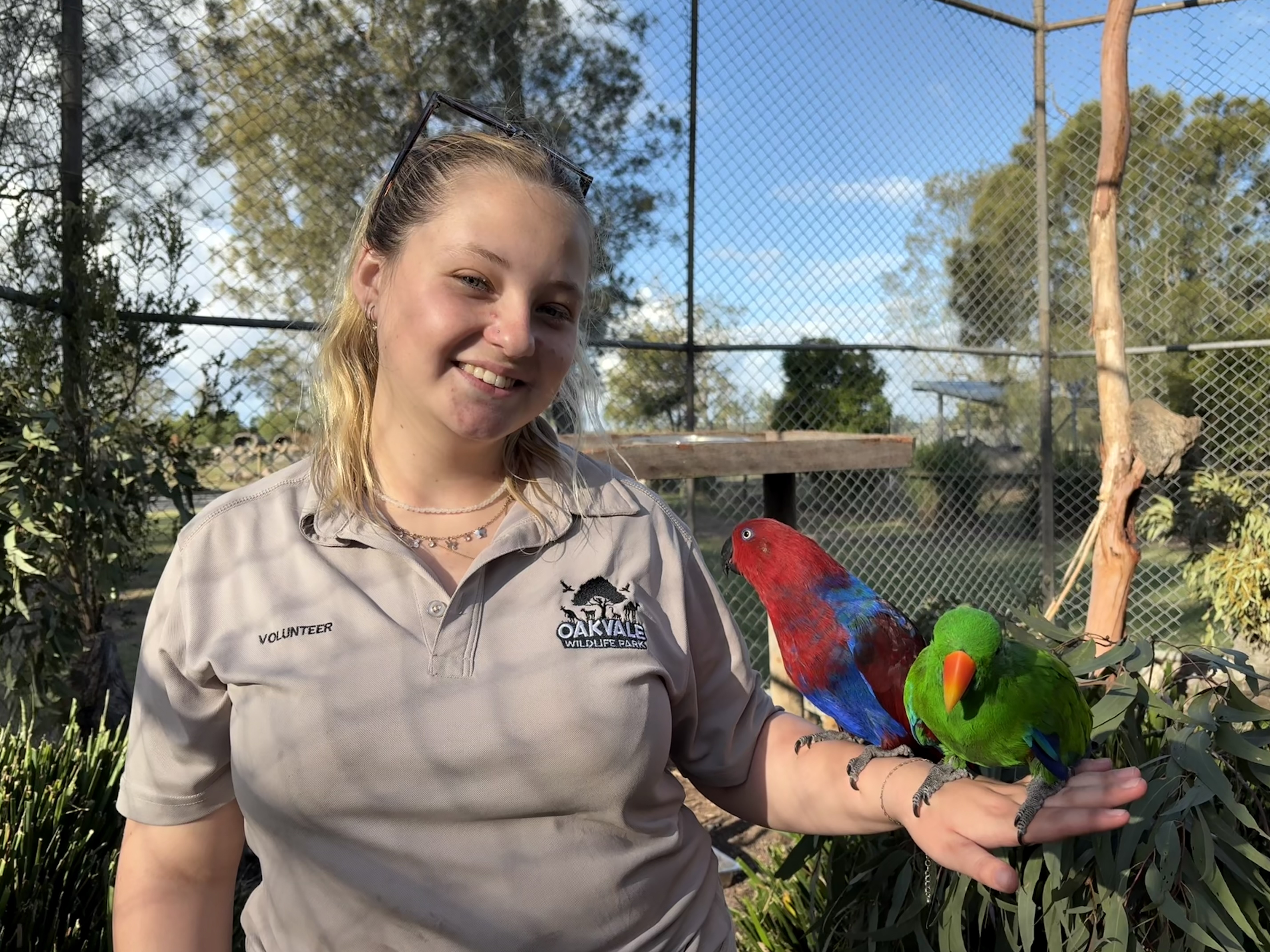 Celebrating Oakvale's Volunteers