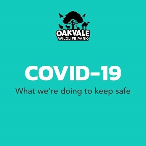 COVID-19 Update