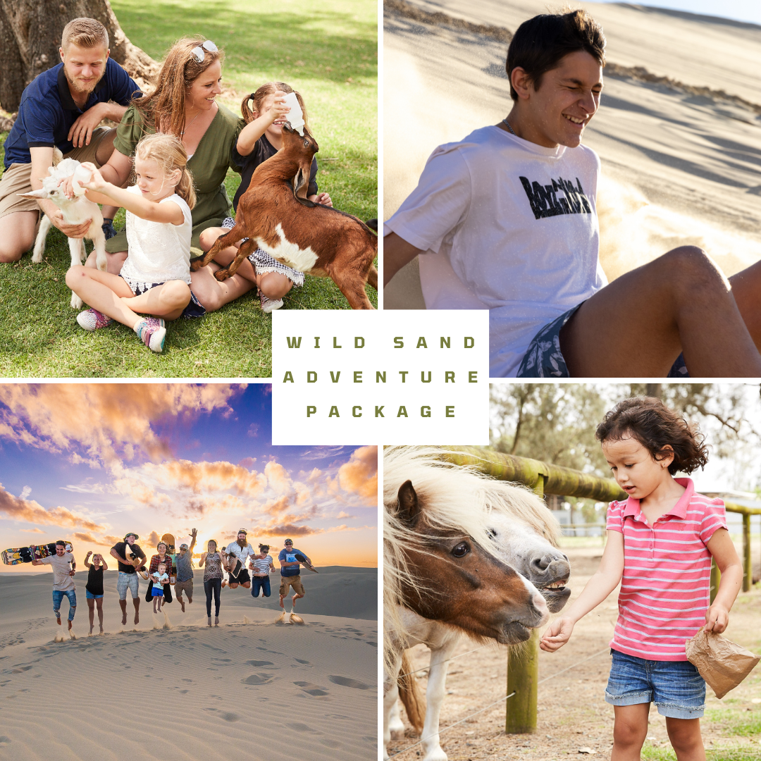 Introducing the Wild Sand Adventure