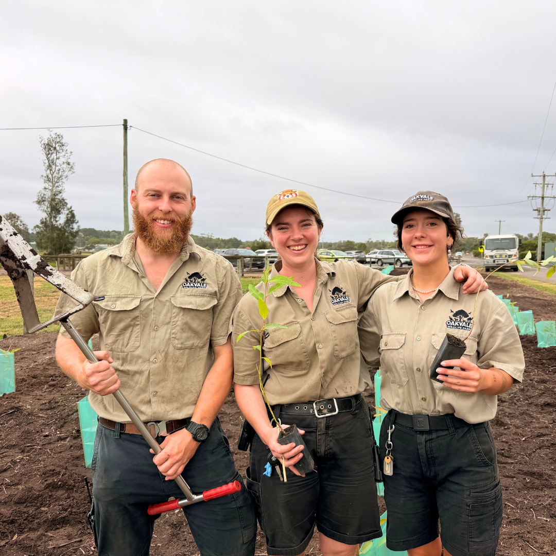 Growing for the Future: Tree Planting at Oakvale